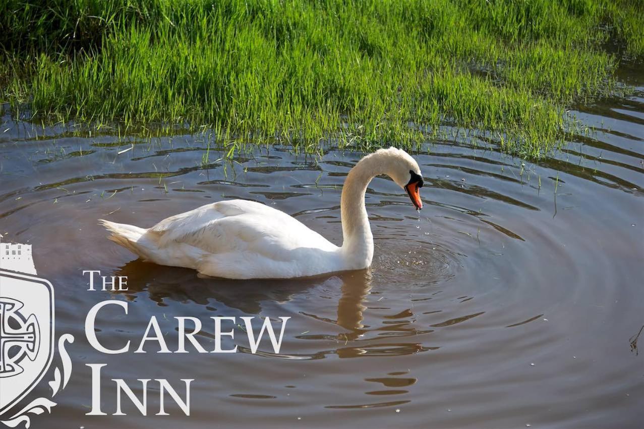 Carew Inn Εξωτερικό φωτογραφία